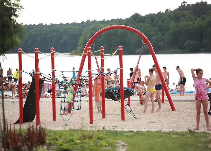 Turysta Lichen Stary