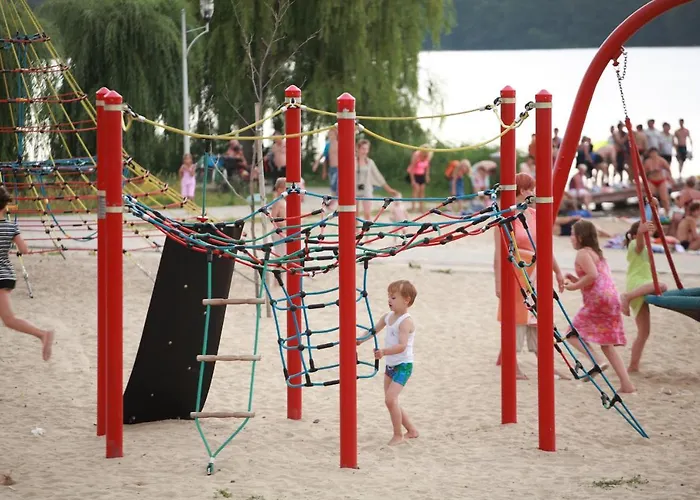 Turysta * Lichen Stary